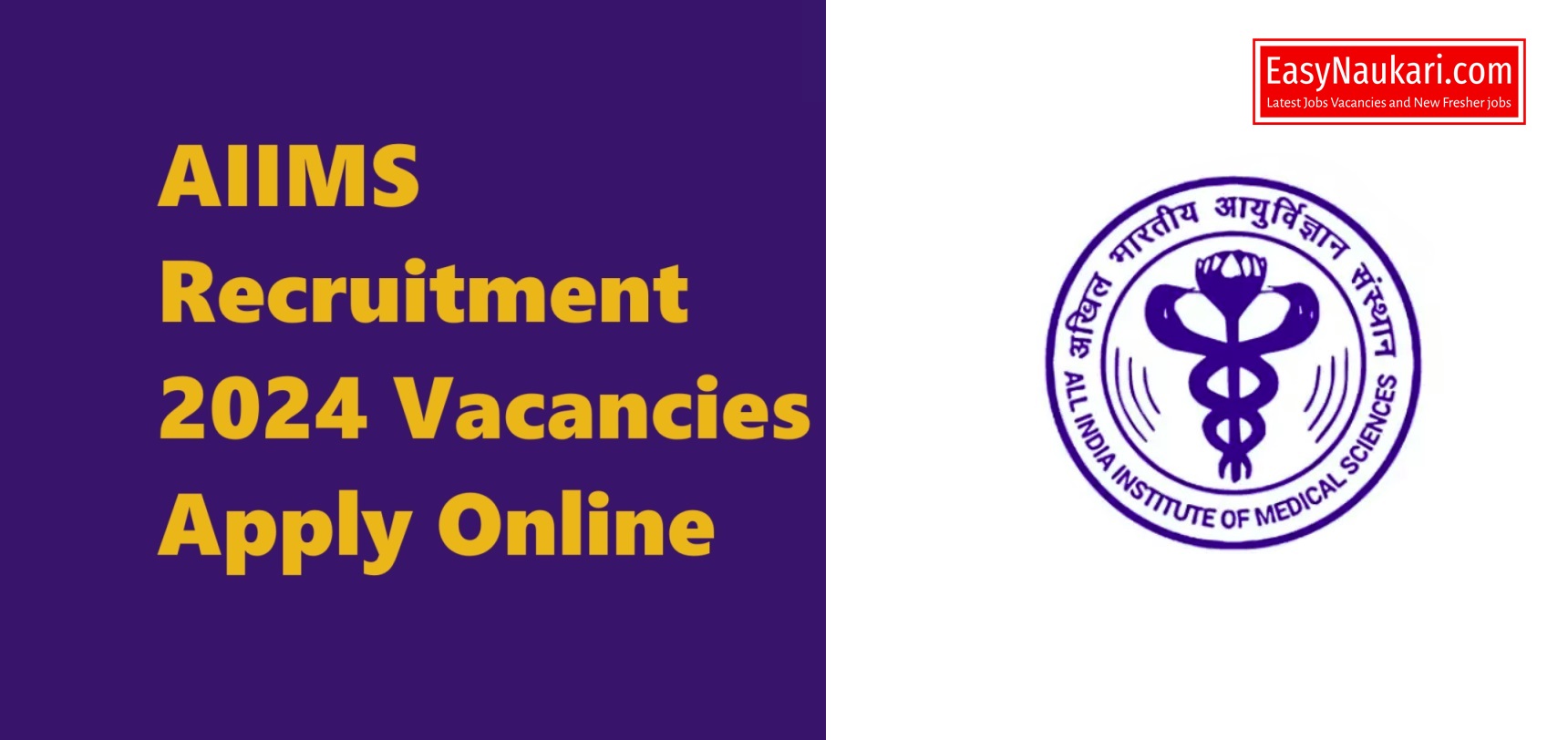 Aiims Recruitment Vacancies Apply Online 2024 